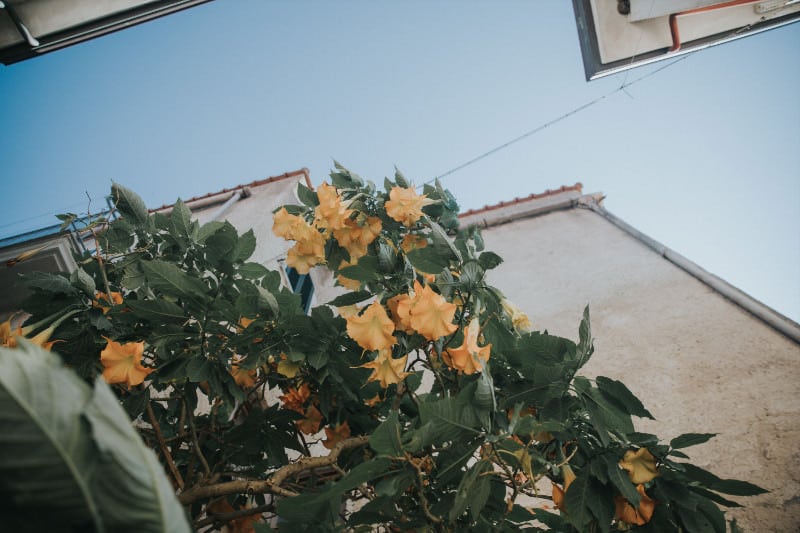 italy wedding photographer