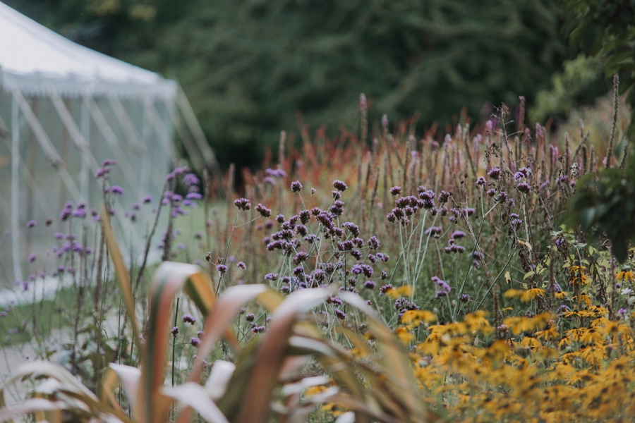 Temple Of Minerva Wedding