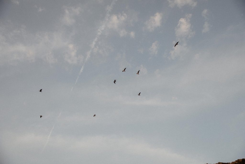 ibiza wedding photographer