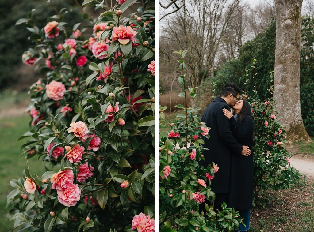 Surprise proposal photography at Stourhead