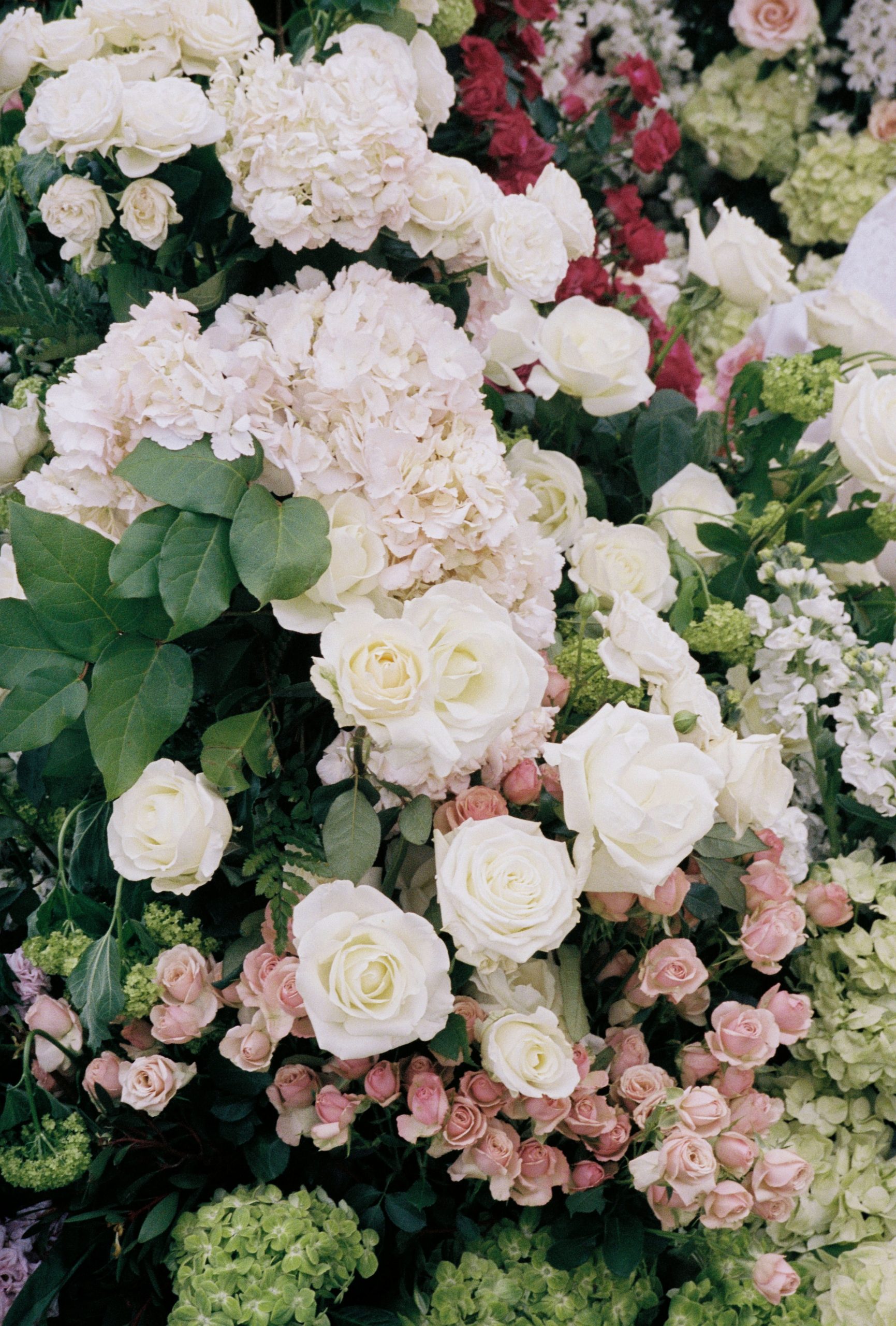 35mm film wedding photography in Somerset