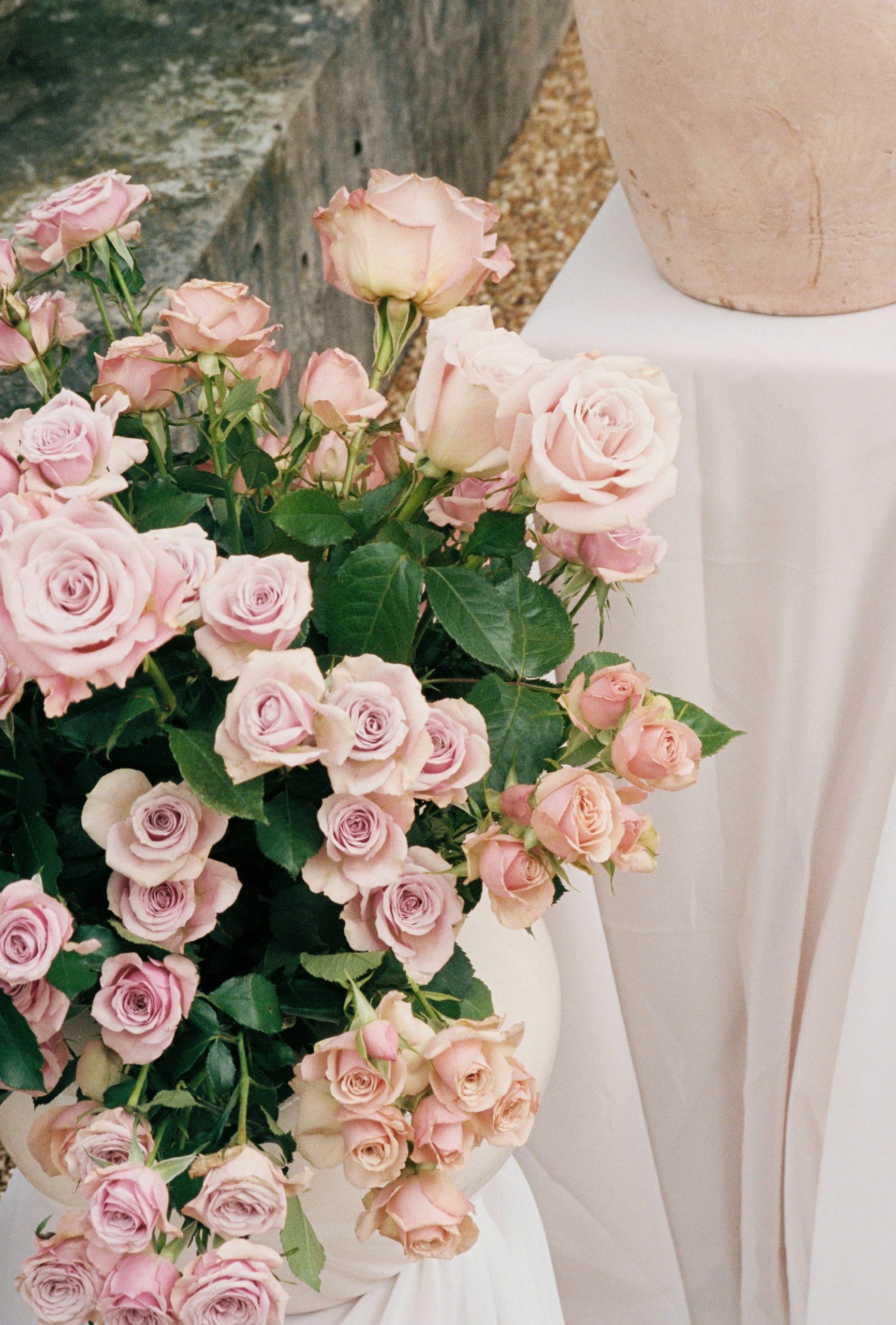 35mm film wedding photography in Somerset